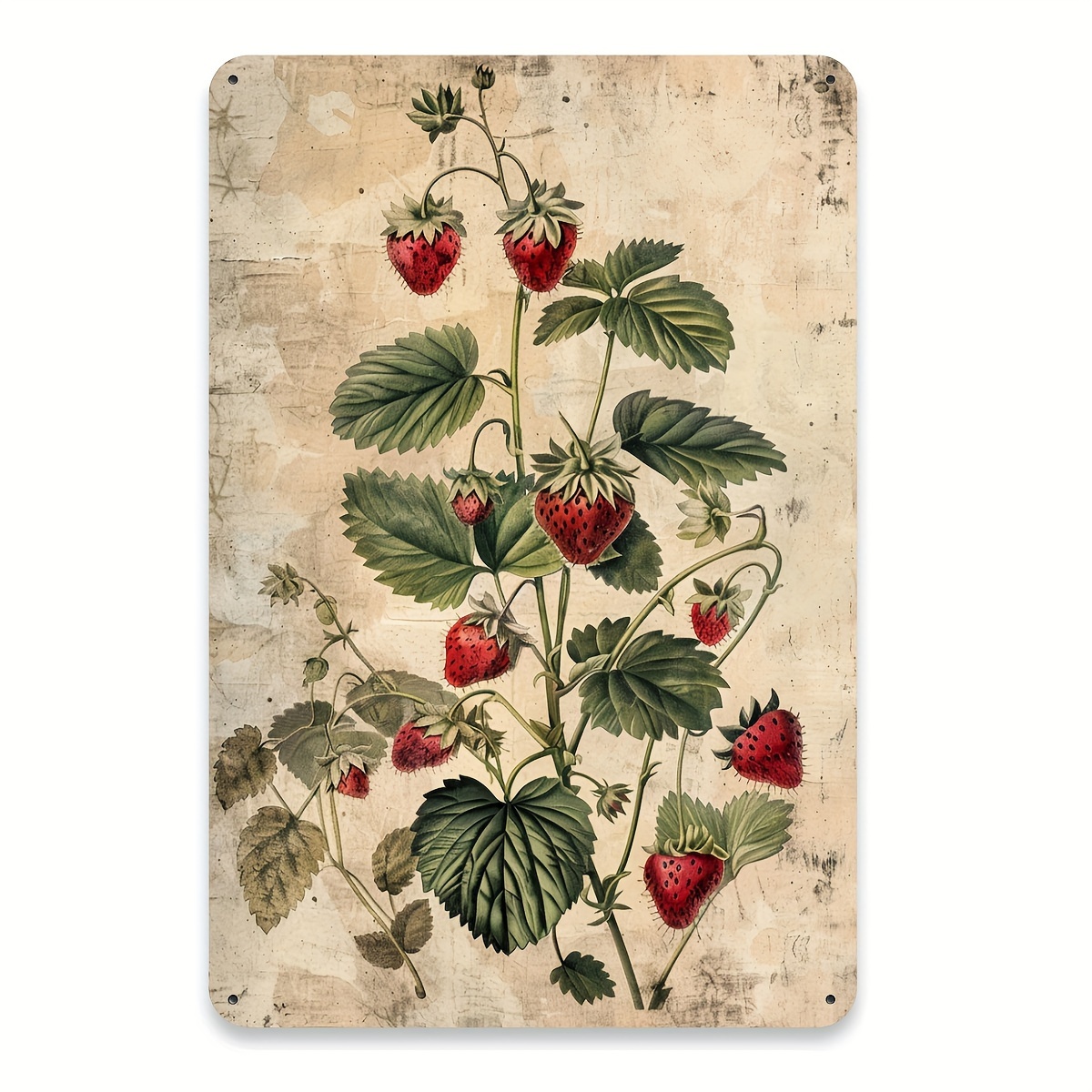 1pc, Vintage Fruit Collection  - Vintage Collectible Tins incelemesi ve fiyatı