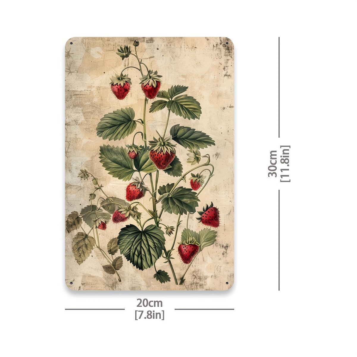 1pc, Vintage Fruit Collection  - Vintage Collectible Tins incelemesi ve fiyatı